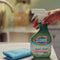 Clorox Clean-Up All Purpose Cleaner with Bleach, Spray Bottle, Original, 32 oz